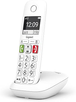 Téléphone analogique et DECT Gigaset E290 – Grandes touches – Blanc