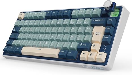Claviers gaming RK ROYAL KLUDGE R75 – Sans Fil, Mécanique RVB